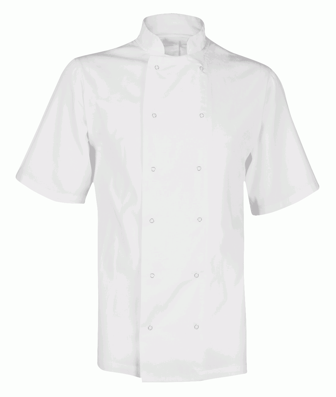Orbit International Chef's Jacket: Unisex Short Sleeve