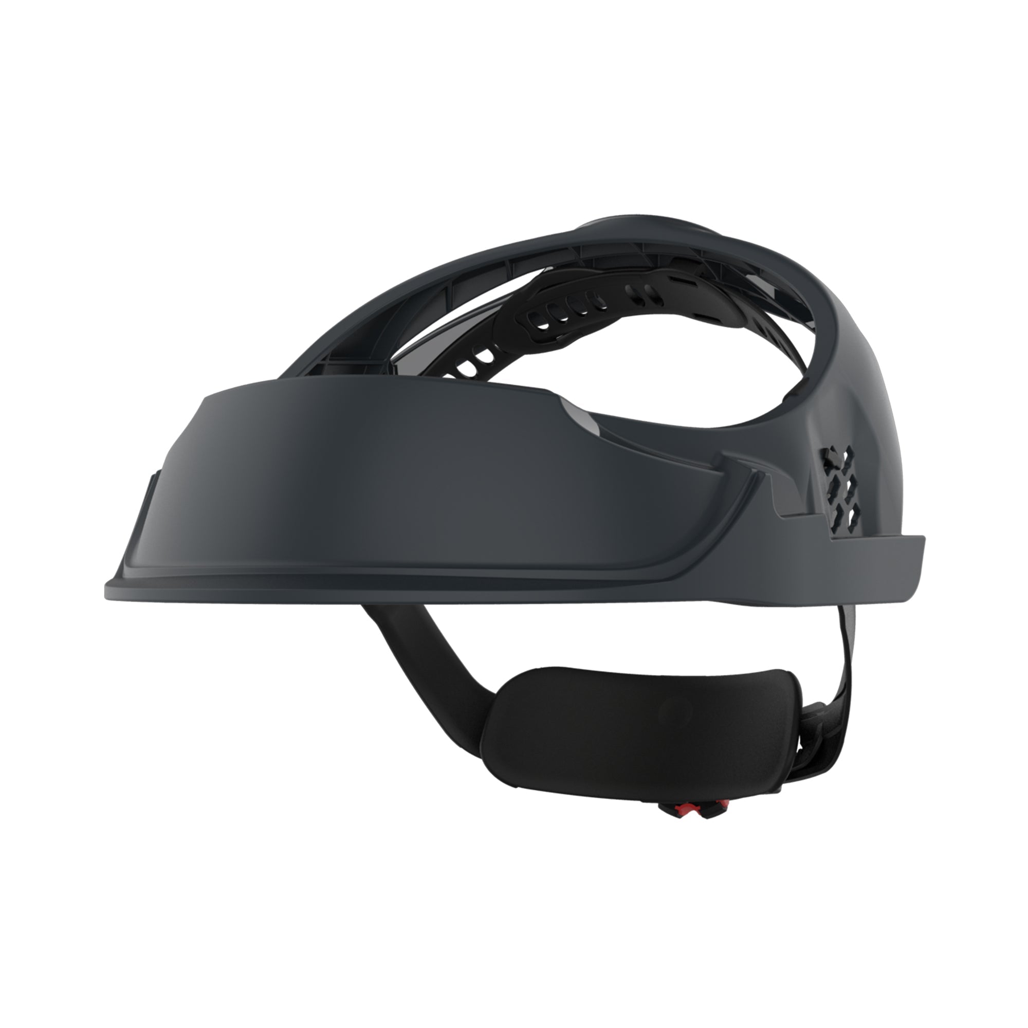 JSP EVOGuard Browguard