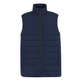 Regatta Professional Mens Essential Thermal Bodywarmer