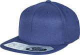 Flexfit By Yupoong 110 Fitted Snapback (110)