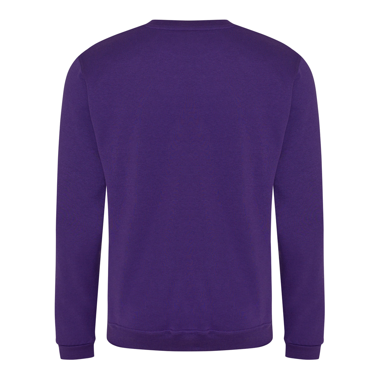 Prortx Pro Sweatshirt - Purple