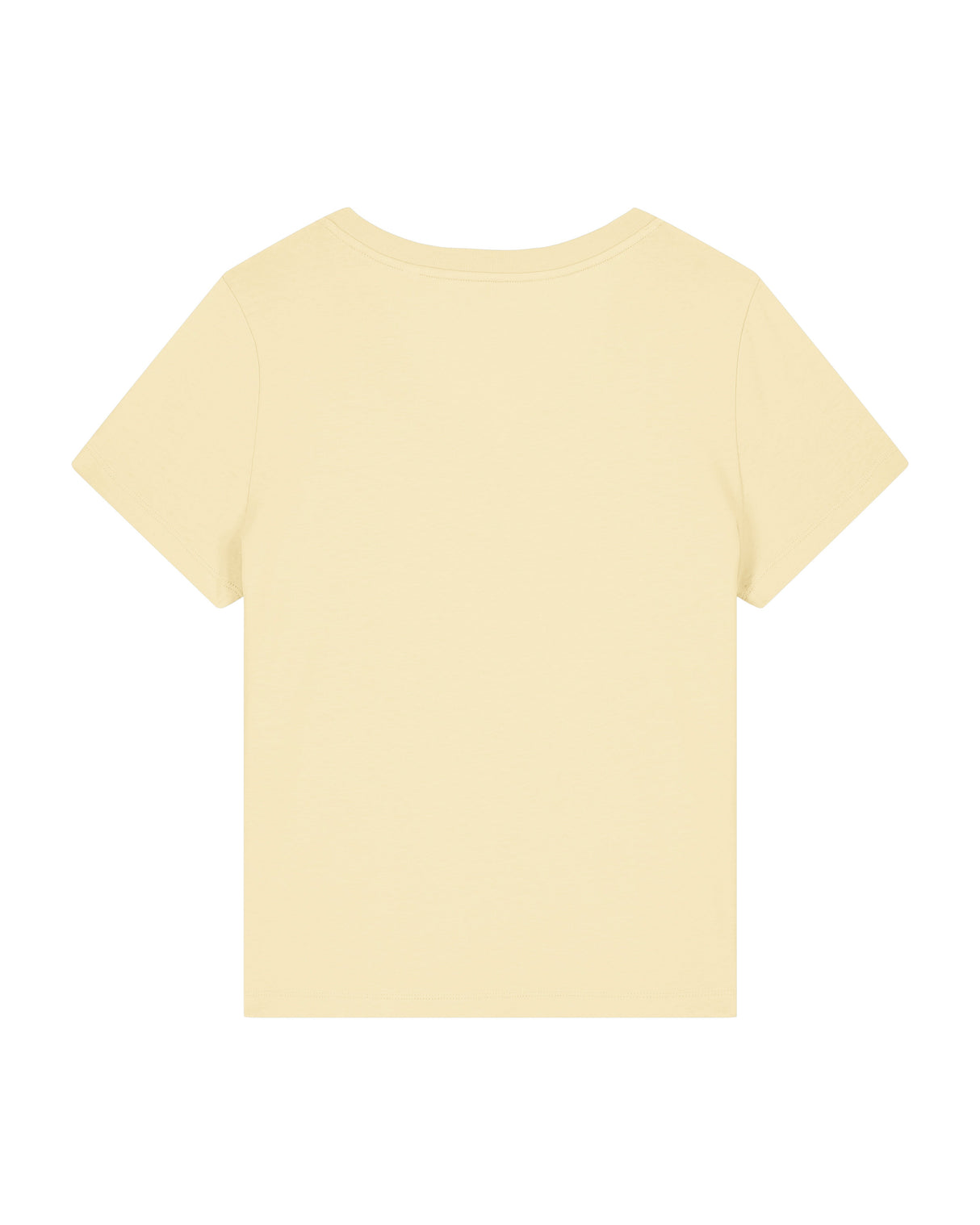 Stanley/Stella Women's Stella Isla V-Neck T-Shirt (Sttw176)