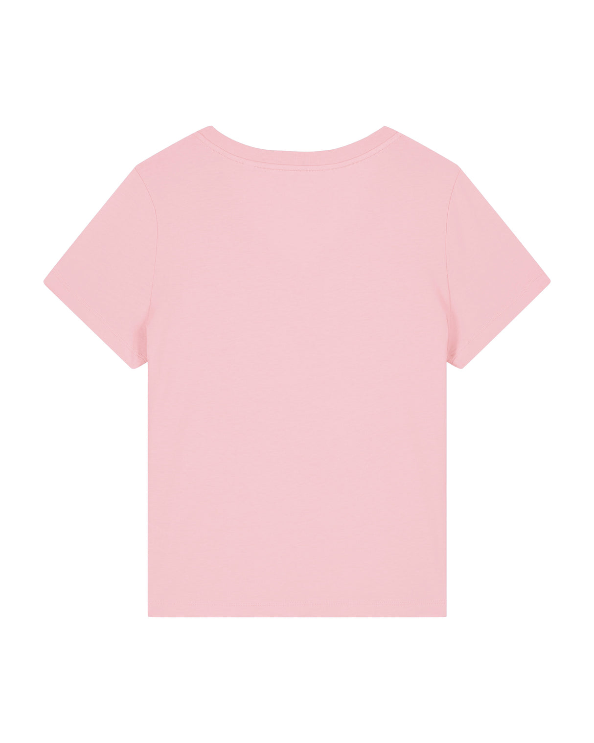 Stanley/Stella Women's Stella Isla V-Neck T-Shirt (Sttw176)