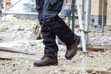 Apache RANGER BROWN