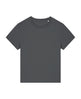 Stanley/Stella Women's Stella Muser Iconic T-Shirt (Sttw172) - Anthracite